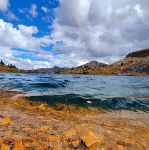 Meet your Posher, Jackie